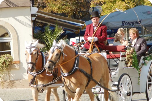 kutschfahrt - 07